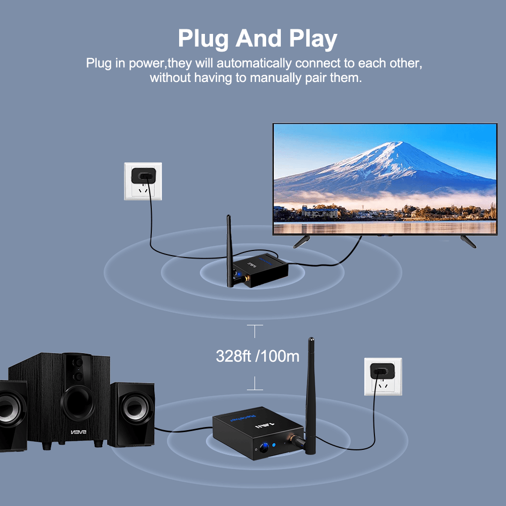 RT5066 Wireless Transmitter Receiver Set