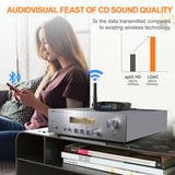 Ricevitore Hi-Fi Bluetooth Lavaudio DS200