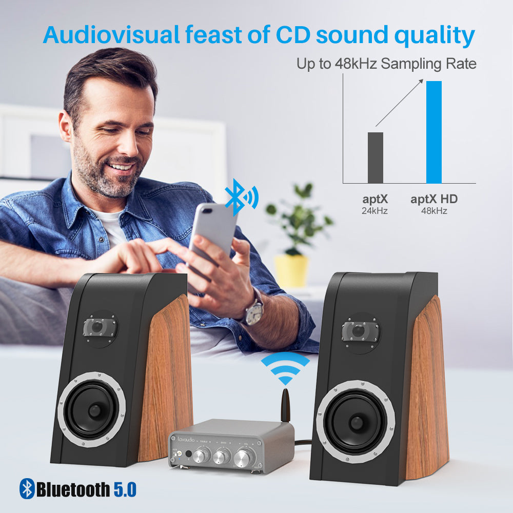 Lavaudio DS300 Amplificatore Audio ad Alta Risoluzione